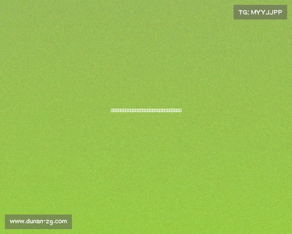 赛场之外的较量:伯恩利与拉齐奥的跨国足球文化碰撞与影响分析 赛场之外的较量:伯恩利与拉齐奥的跨国足球文化碰撞与影响分析